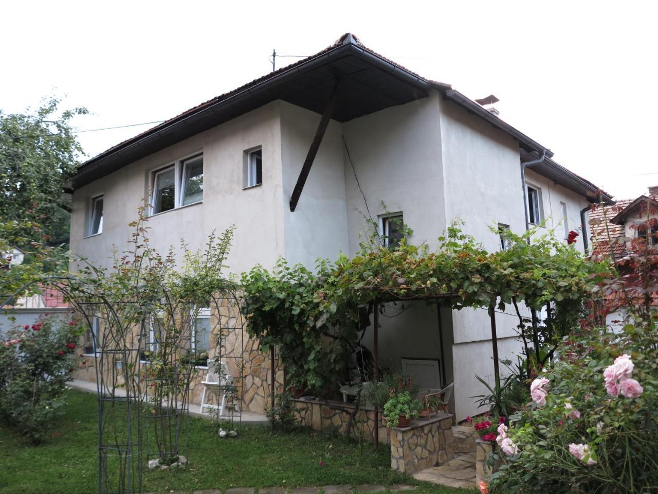 Modern&Cozy Bosnian House With Garden+Free Parking Hotel Sarajevo Buitenkant foto